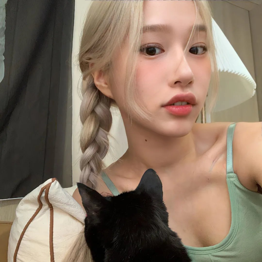蒂科与鲨鱼